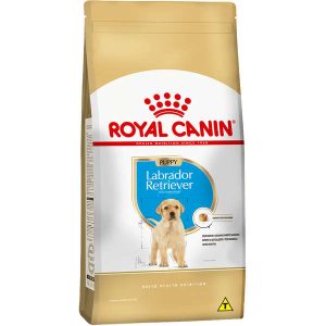 Ração Seca Royal Canin Puppy Labrador Retriever para Cães Filhotes