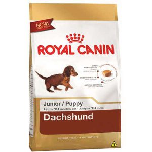 Ração Royal Canin Mini para Cães Filhotes da Raça Dachshund