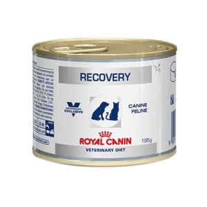 Ração Royal Canin Lata Canine e Feline Veterinary Diet Recovery Wet