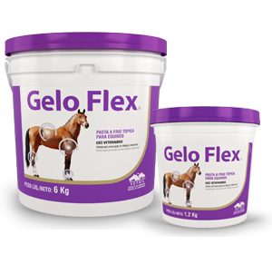 Pasta a Frio Tópica Gelo Flex Balde