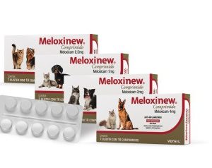 Anti-inflamatório Vetnil Meloxinew Comprimido
