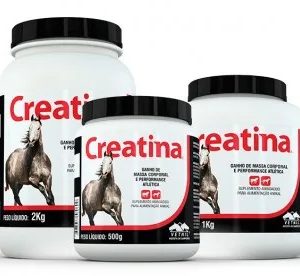 Vetnil Suplemento Vitamínico Cães e Equinos Creatina
