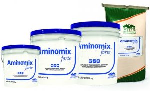 Vetnil Suplemento Aminomix Forte