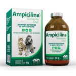 Antibiótico bactericida Ampicilina Veterinária Oral