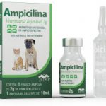Antibiótico bactericida Ampicilina Veterinária Injetável