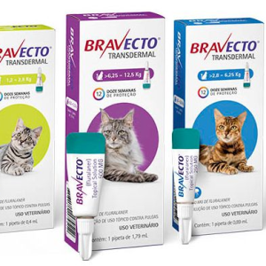 Antipulgas MSD Bravecto Transdermal para Gatos