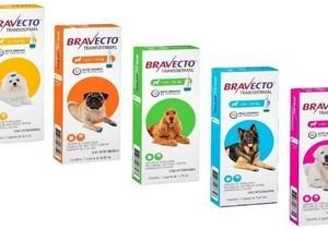 Antipulgas e Carrapatos MSD Bravecto Transdermal para Cães