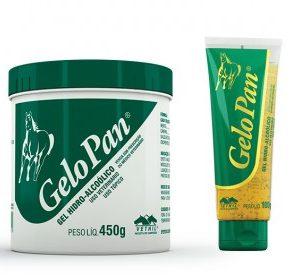 Gel Hidro Alcoólico Gelo Pan Vetnil