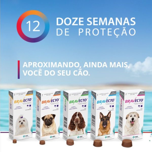 Antipulgas e Carrapatos MSD Bravecto para Cães