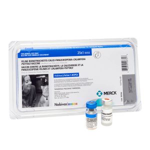 Vacina Nobivac Feline 1-HCPCh