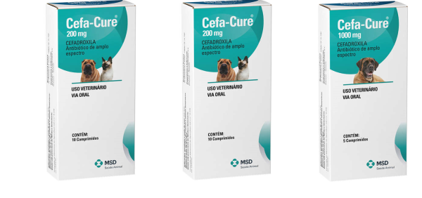 Antibiótico MSD Cefa Cure