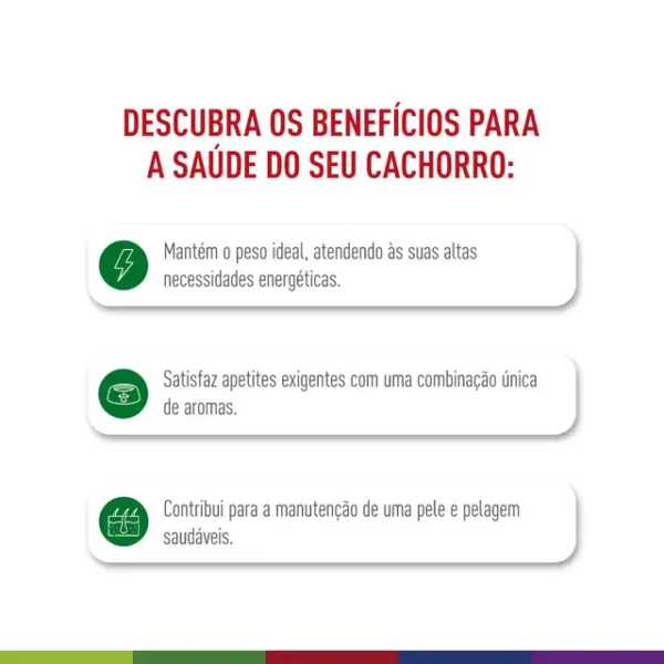 Ração Royal Canin Mini Adult para Cães Adultos de Raças Pequenas com 10 Meses ou mais de Idade - Imagem 2