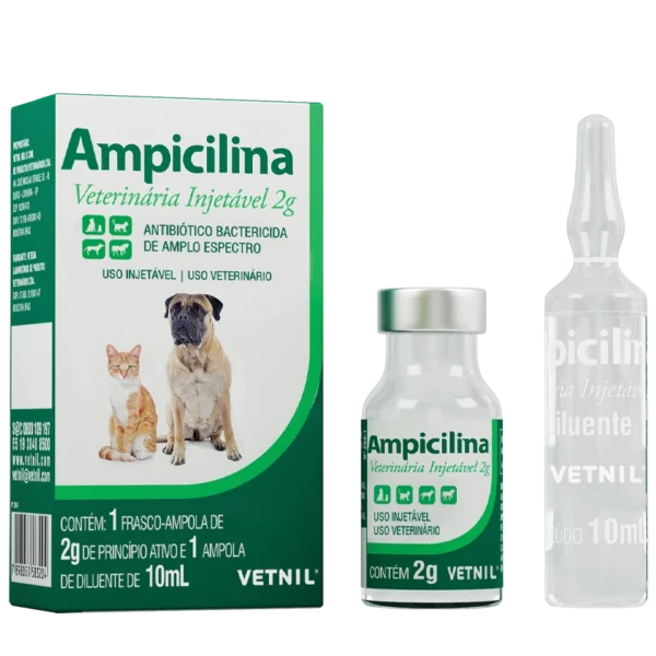 Antibiótico bactericida Ampicilina Veterinária Injetável