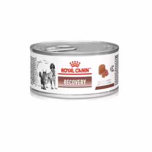 Ração Royal Canin Lata Canine e Feline Veterinary Diet Recovery Wet