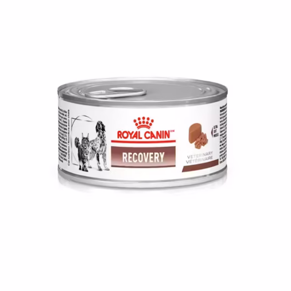 Ração Royal Canin Lata Canine e Feline Veterinary Diet Recovery Wet