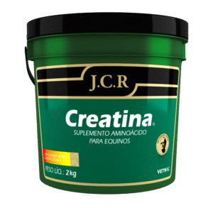 Suplemento Vitamínico Creatina JCR