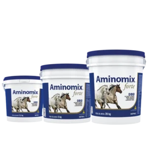Vetnil Suplemento Aminomix Forte