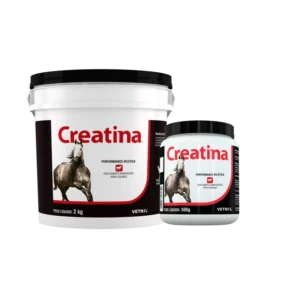Vetnil Suplemento Vitamínico Cães e Equinos Creatina