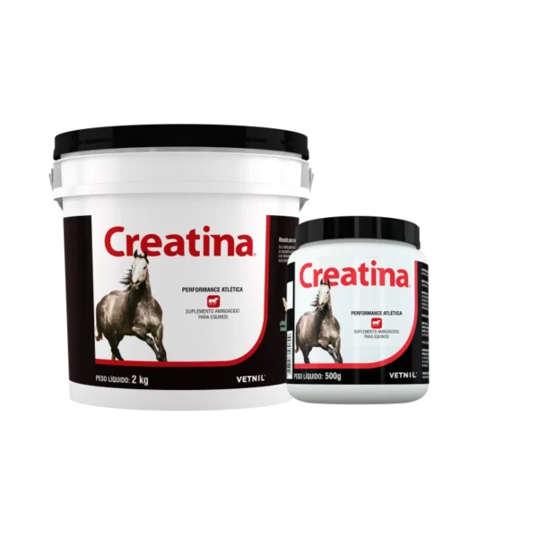 Vetnil Suplemento Vitamínico Cães e Equinos Creatina