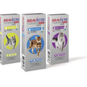Antipulgas MSD Bravecto Plus para Gatos