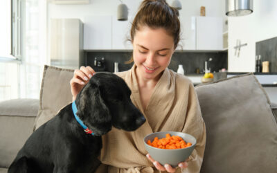 10 alimentos que o seu cão nunca pode comer (e 5 que estão liberados)