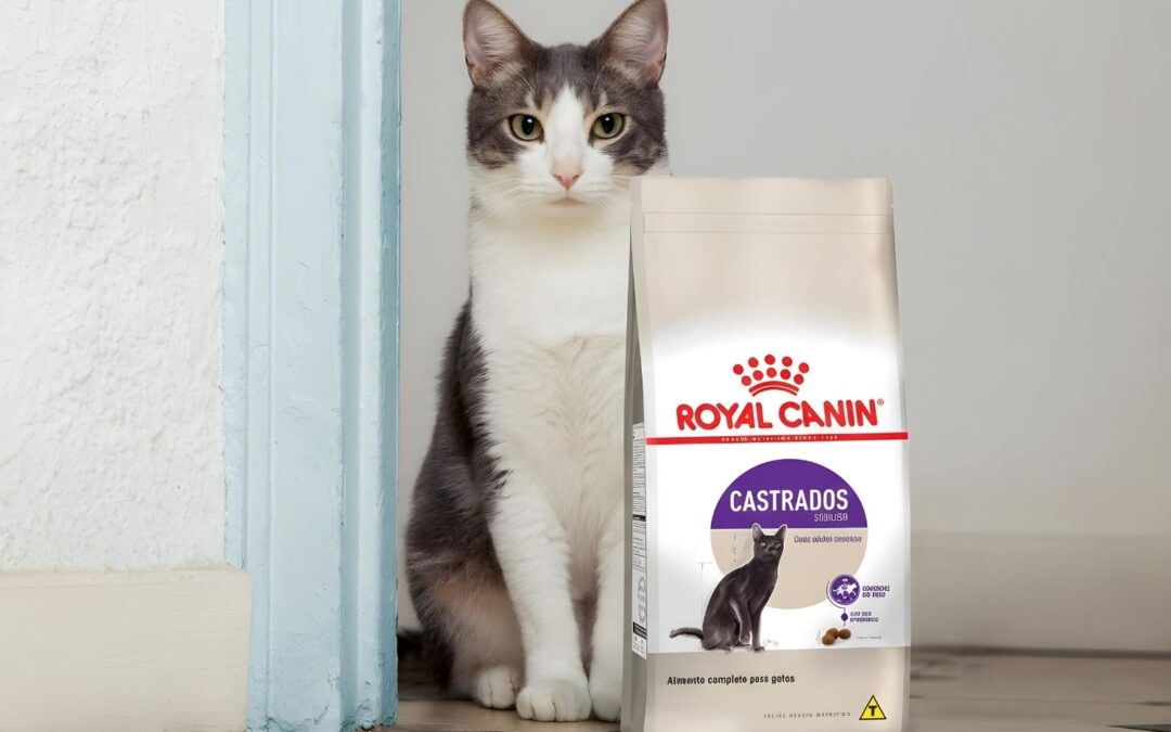 Ração Royal Canin para Gatos Castrados Vale a Pena? Análise Completa.