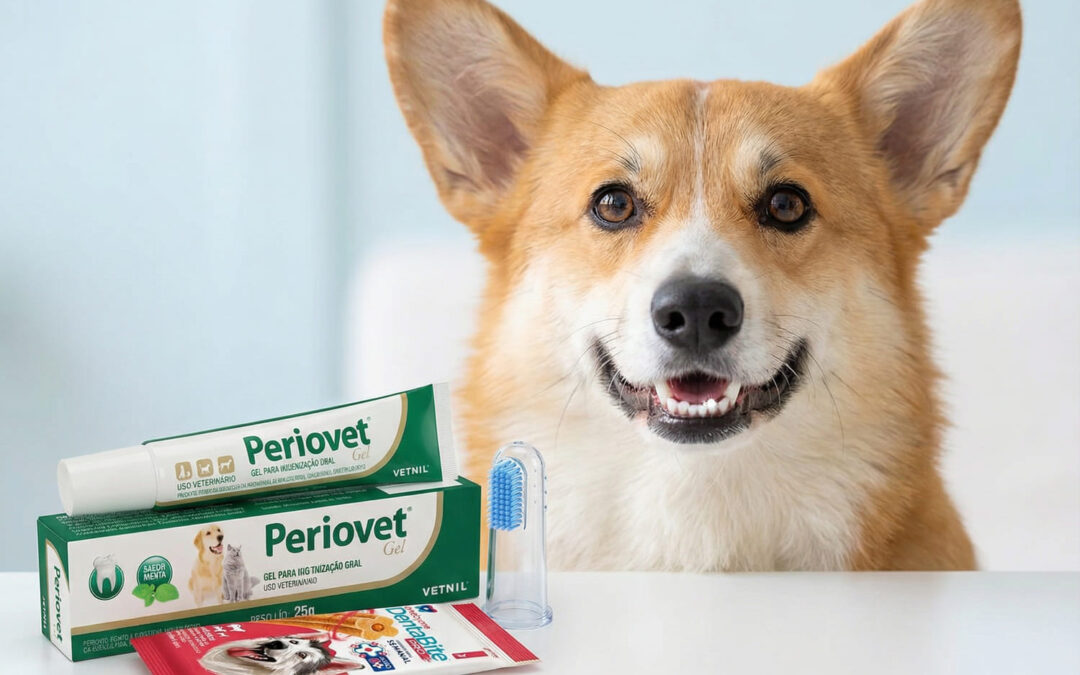 Como Acabar com o Mau Hálito do Cachorro: 4 Passos Práticos para um Sorriso Saudável