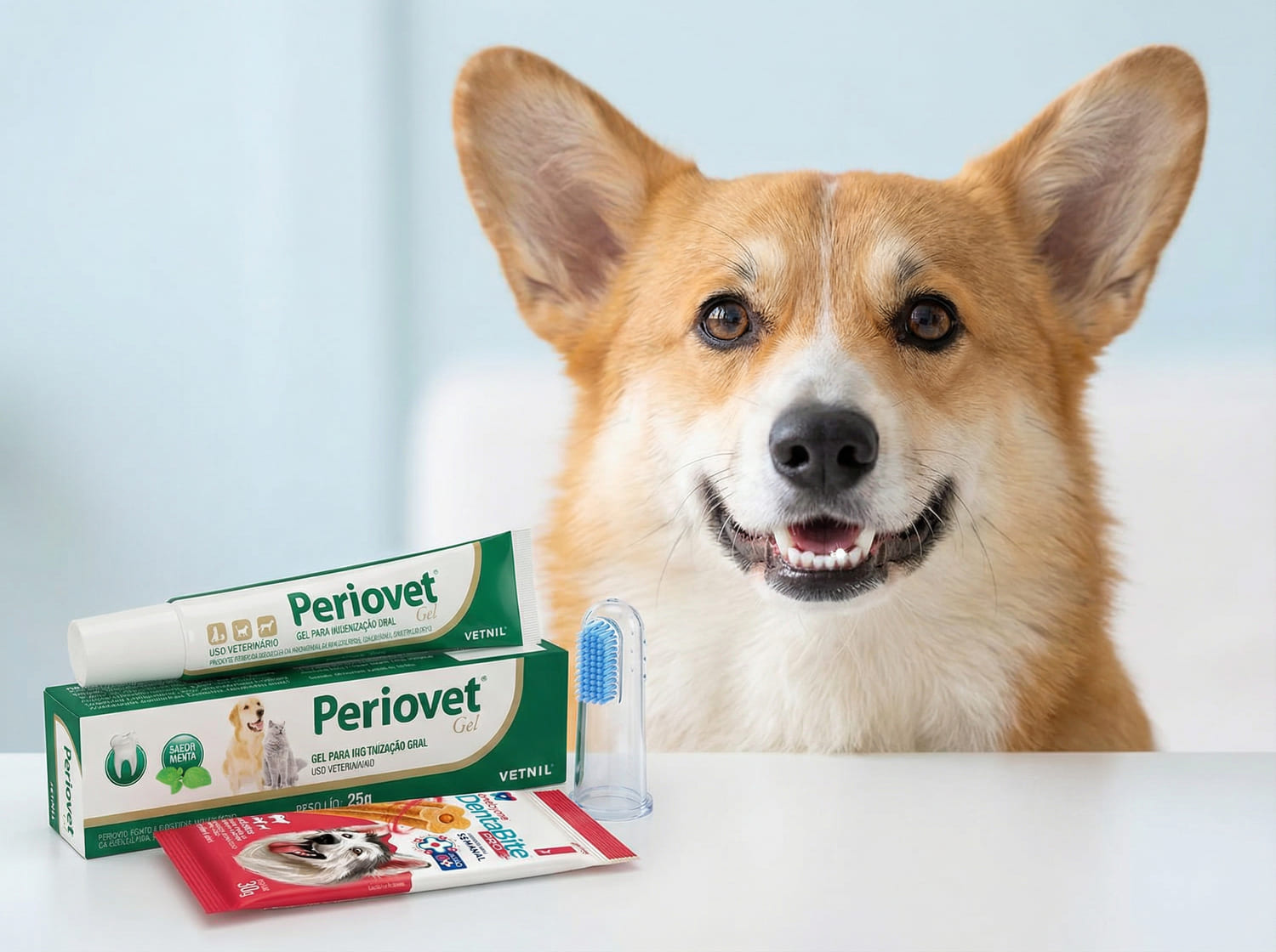 Como Acabar com o Mau Hálito do Cachorro 4 Passos Práticos para um Sorriso Saudável (1)